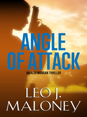 Angle of Attack - ebook